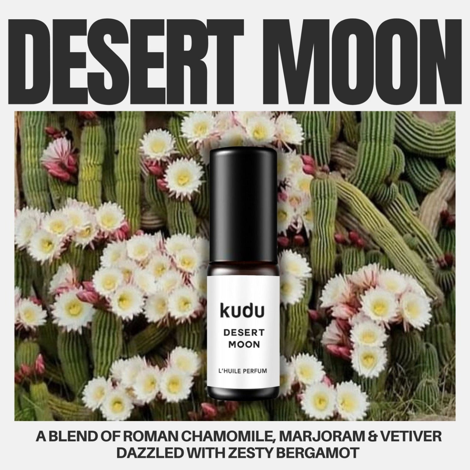 Perfume bottle labeled "Kudu Desert Moon" in front of cacti with white flowers. Text describes a scent blend of chamomile, marjoram, vetiver, and bergamot.