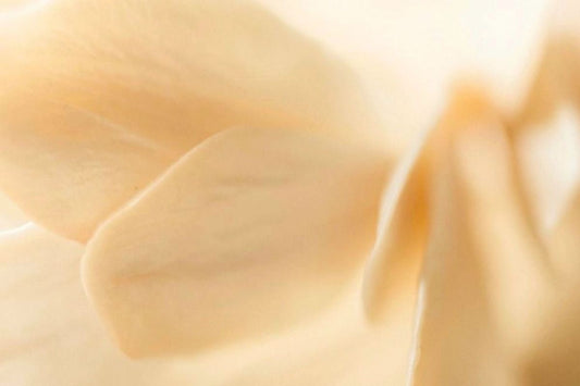 Soft, warm vanilla extract texture, illustrating vanilla as a soothing ingredient in skincare 