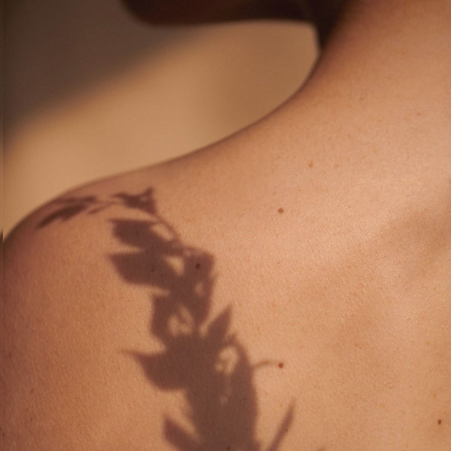 Soft-focus shadow of botanical leaves across skin with fragrance notes bergamot, marjoram and vetiver for Kudu Desert Moon perfume oil
