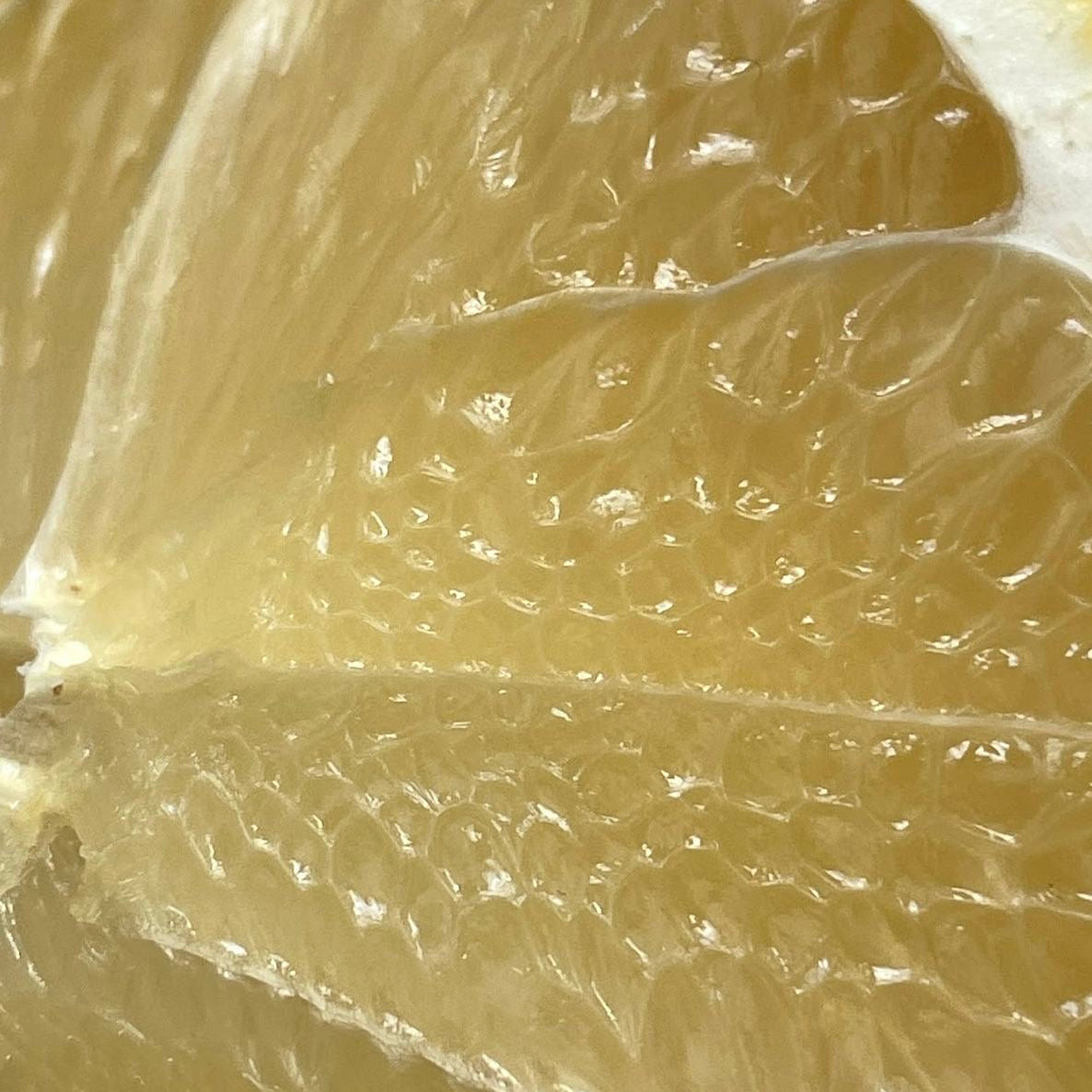 Close-up of a sliced lemon showing its juicy interior.