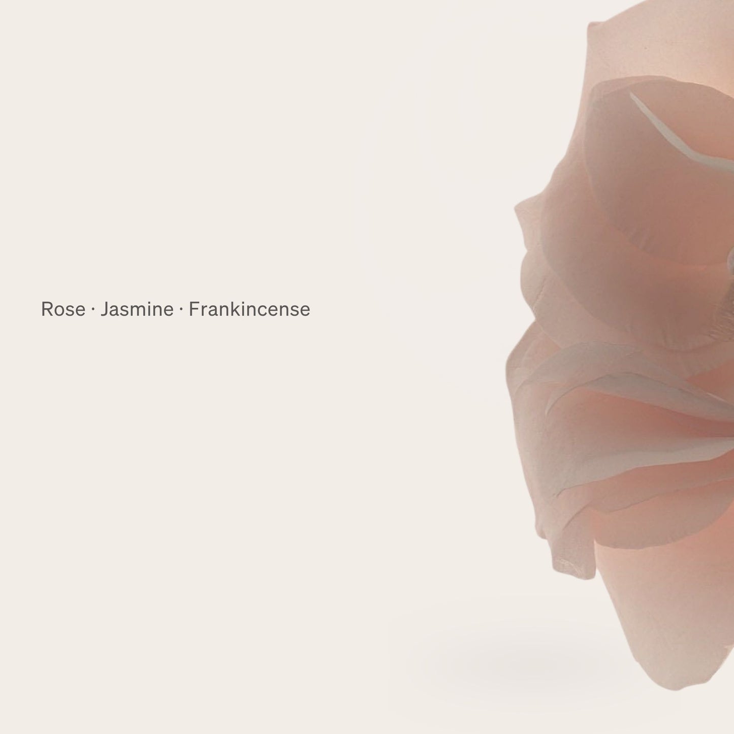 Rose, jasmine and frankincense scent profile for Soul Safari perfume oil 